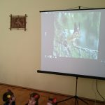 IMG_20150420_204449