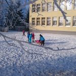 Žvilgsnis pro šerkšnu puoštas šakas (2)